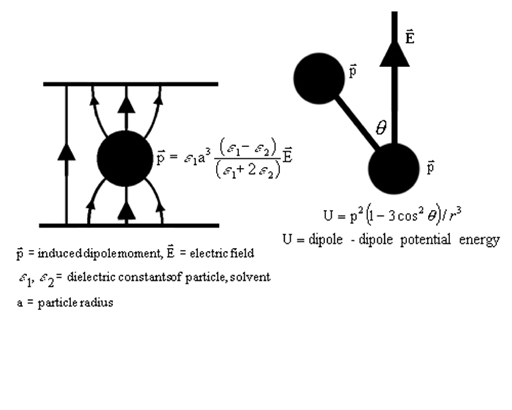 Dipole