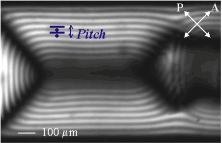 CholestericTexture